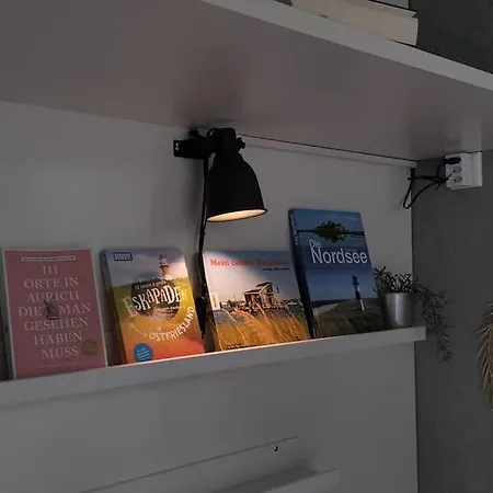 Hausboot Urlaub In Ostfriesland Auf Der Waterhome 1 * Grossefehn